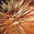 Fotografia Reklamowa, Fotografia Reklamowa Krak�w, Fotografia Artystyczna Krak�w, Eksperymenty, Filip Michno,Fotografia Produktowa, Fotografia Na Zlecenie