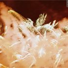 Fotografia Reklamowa, Fotografia Reklamowa Krak�w, Fotografia Artystyczna Krak�w, Eksperymenty, Filip Michno,Fotografia Produktowa, Fotografia Na Zlecenie