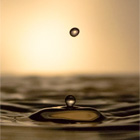 Fotografia Reklamowa, Fotografia Reklamowa Krak�w, Fotografia Artystyczna Krak�w, Eksperymenty, Filip Michno,Fotografia Produktowa, Fotografia Na Zlecenie