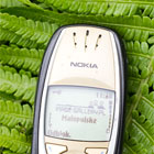 Fotografia Reklamowa, Fotografia Reklamowa Krak�w, Fotografia Artystyczna Krak�w, Eksperymenty, Filip Michno,Fotografia Produktowa, Fotografia Na Zlecenie