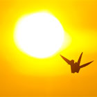 Fotografia Reklamowa, Fotografia Reklamowa Krak�w, Fotografia Artystyczna Krak�w, Eksperymenty, Filip Michno,Fotografia Produktowa, Fotografia Na Zlecenie