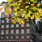 Filip Michno,  Reporta� Filip Michno, Fotografia Artystyczna, Reporta� Krak�w, Filip Michno, Nowa Huta W Obiektywie, Nowa Huta, Restauracja Stylowa, Kasztany Nowa huta, Kasztanowce, Zielona Huta