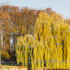 Filip Michno,  Reporta� Filip Michno, Fotografia Artystyczna, Reporta� Krak�w, Filip Michno, Nowa Huta W Obiektywie, Nowa Huta, Restauracja Stylowa, Kasztany Nowa huta