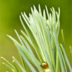 Fotografia Natury, Filip Michno, Fotografia Przyrody, Natura ,Zwierz�ta, Roslinno�� 